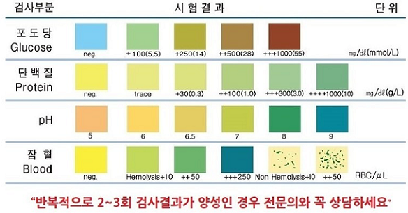 소변-스틱-검사-색깔-지표-사진