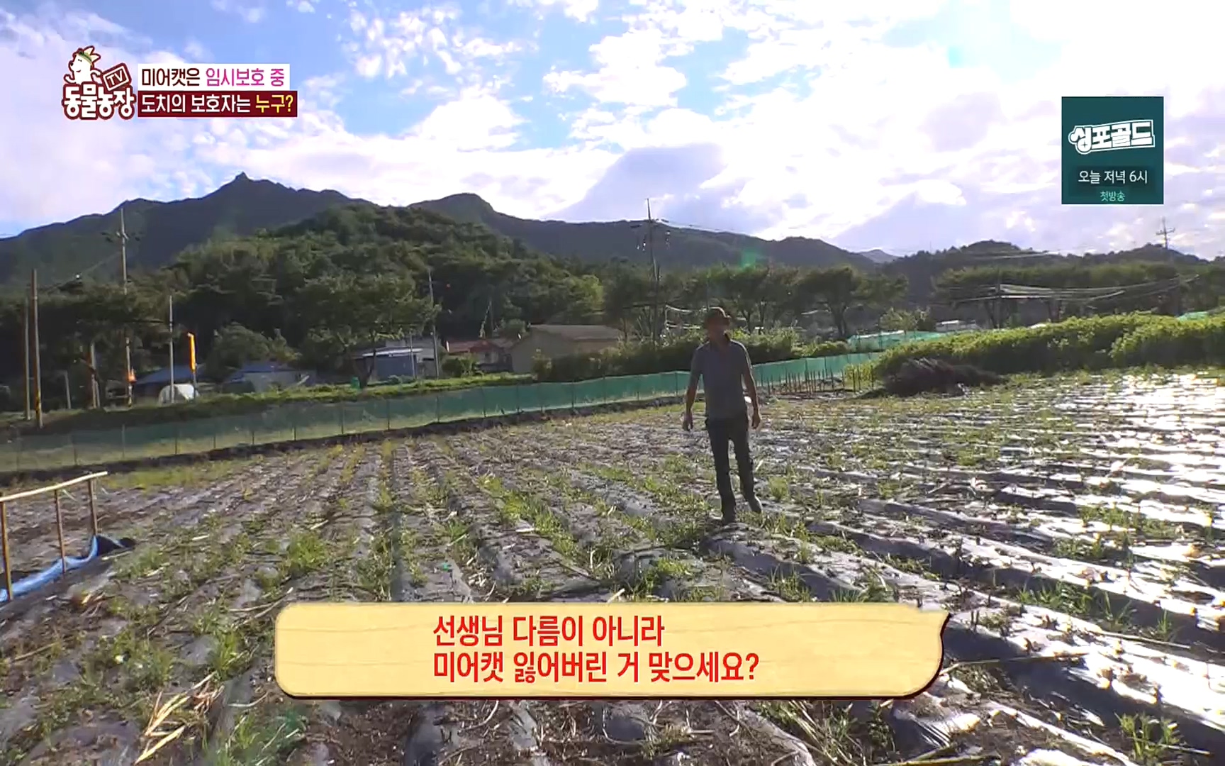 TV 동물농장.E1088.220925p.H264-F1RST.mp4_20220925_174410.695.jpg
