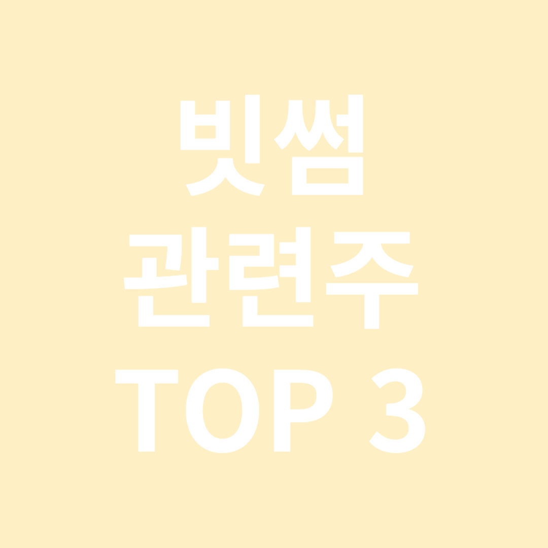 빗썸 관련주 TOP 3
