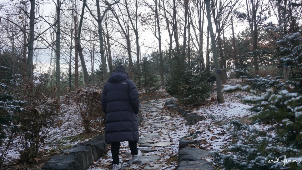 전주 겨울여행 전주겨울여행/한국도로공사 4