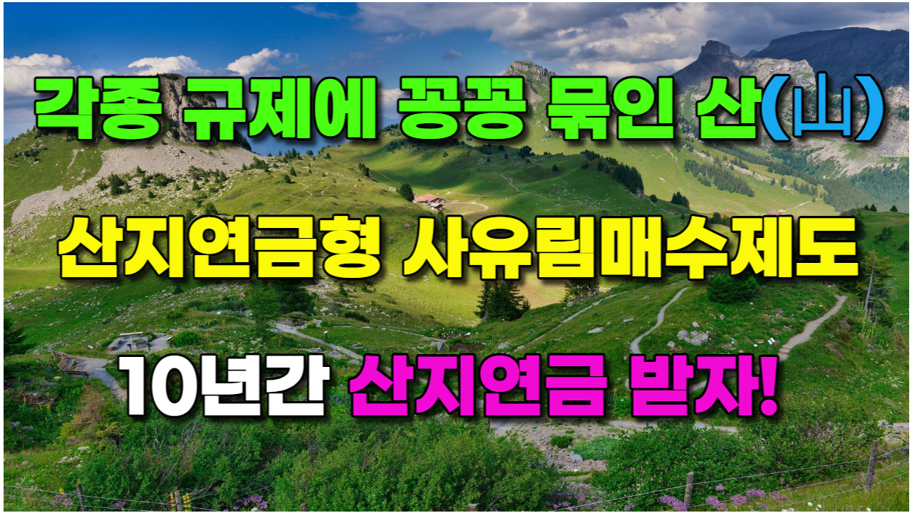  [생활정보] 각종 규제 산(山) 11월 10년간 산지연금 받자! 산지연금형 사유림매수제도