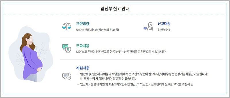 e보건소 임산부 지원 서비스