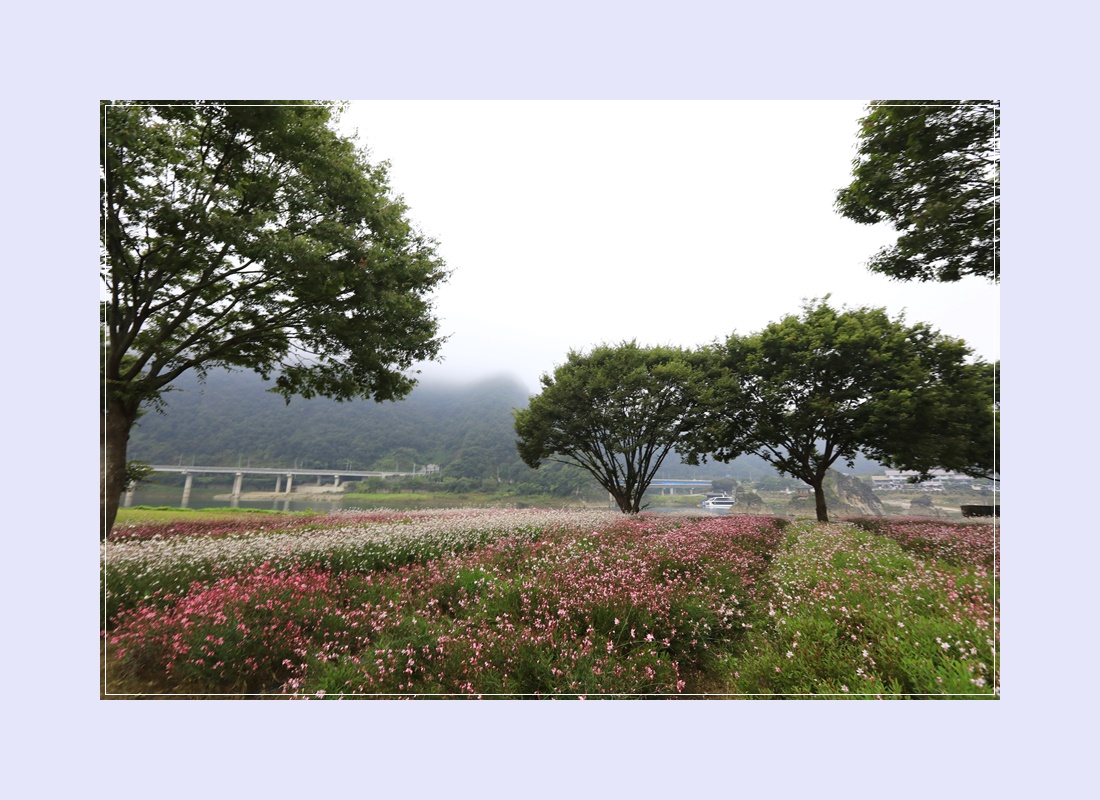 도담행복마을 이미지