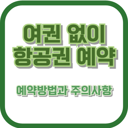 여권 없이 항공권 예약하는 방법과 주의사항