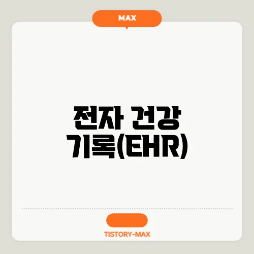 전자 건강 기록(EHR)
