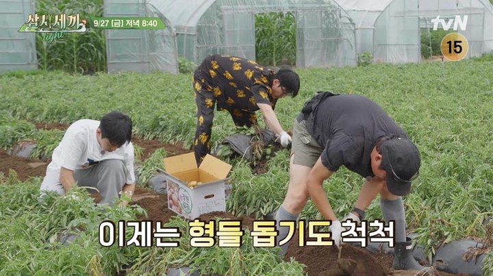 삼시세끼 라이트 임영웅 김고은 이미지
