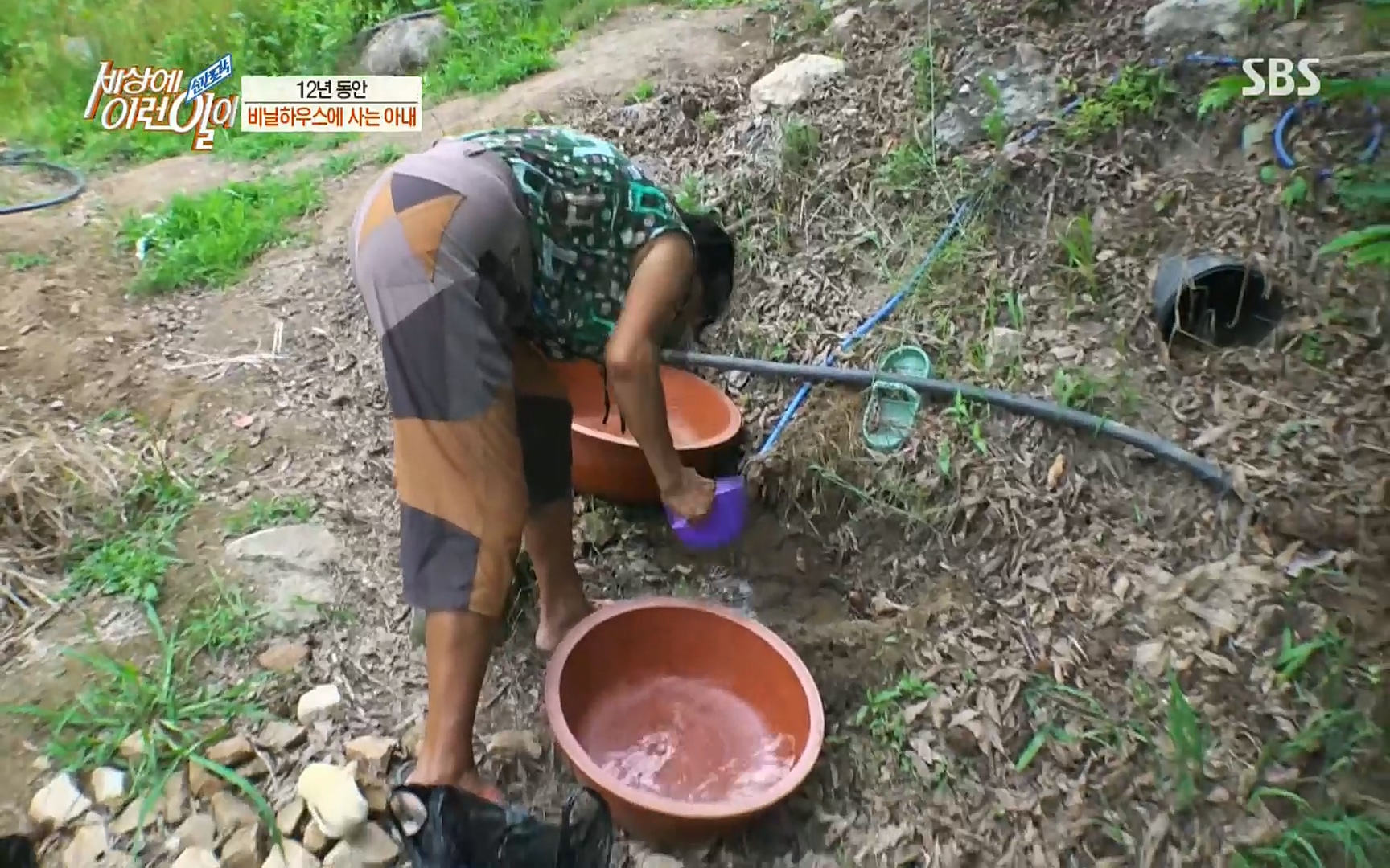 순간포착 세상에 이런일이.E1186.220628p.H264-F1RST.mp4_20220629_201011.618.jpg