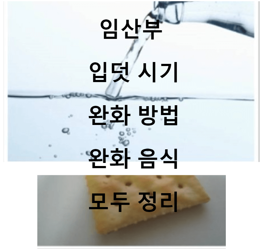 임산부-입덧시기-완화방법-좋은음식