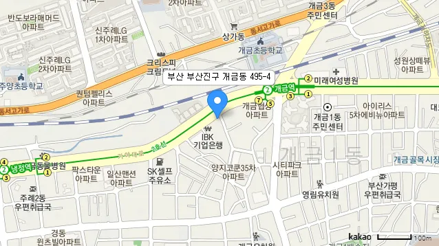 다음지도 검색 스카이뷰 길찾기 로드뷰_5
