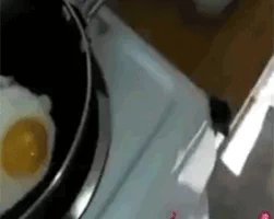 계란(Eggs)