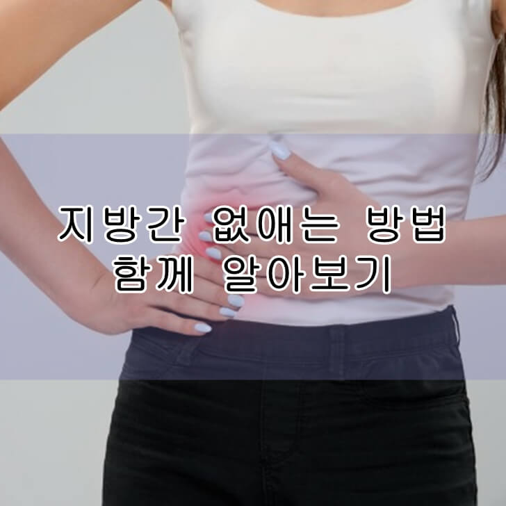 지방간없애는방법