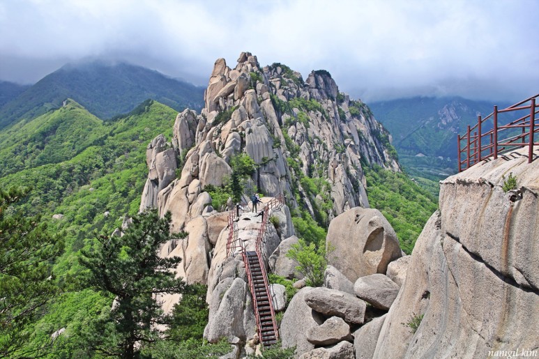  하나님의 영광(시19:1~14)