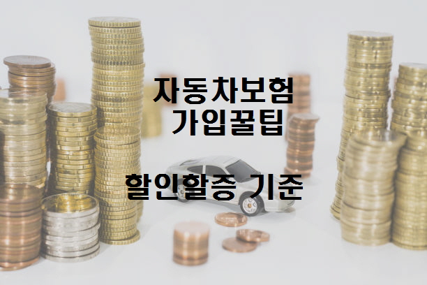  노다지네 잡학다식