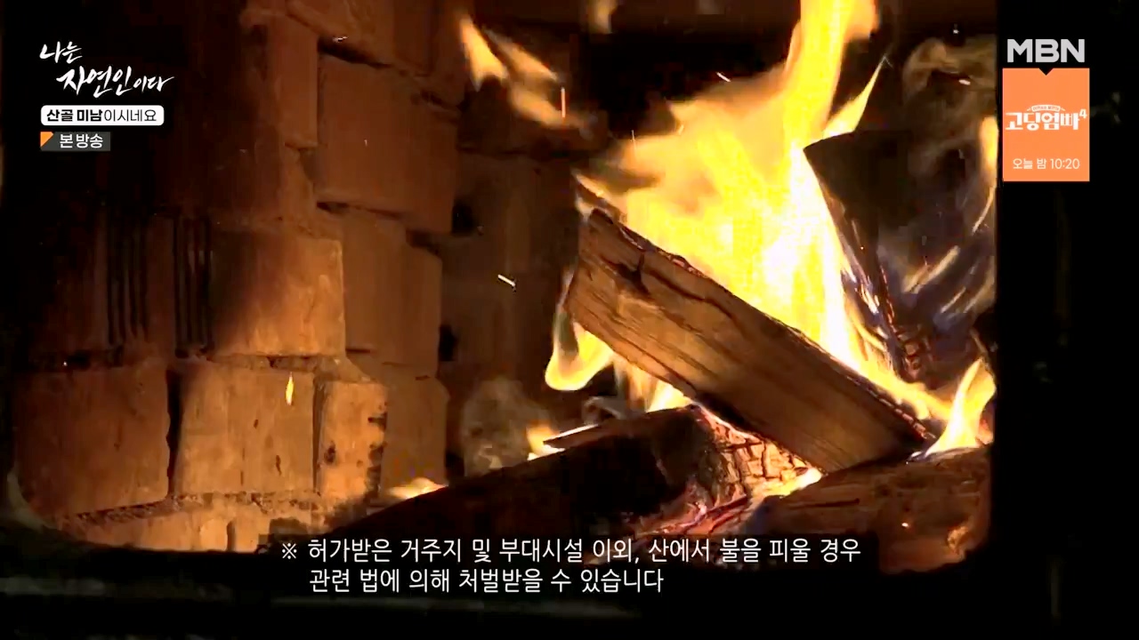 나는 자연인이다.E592.240208p-NEXT.mp4_20240208_193241.655.jpg