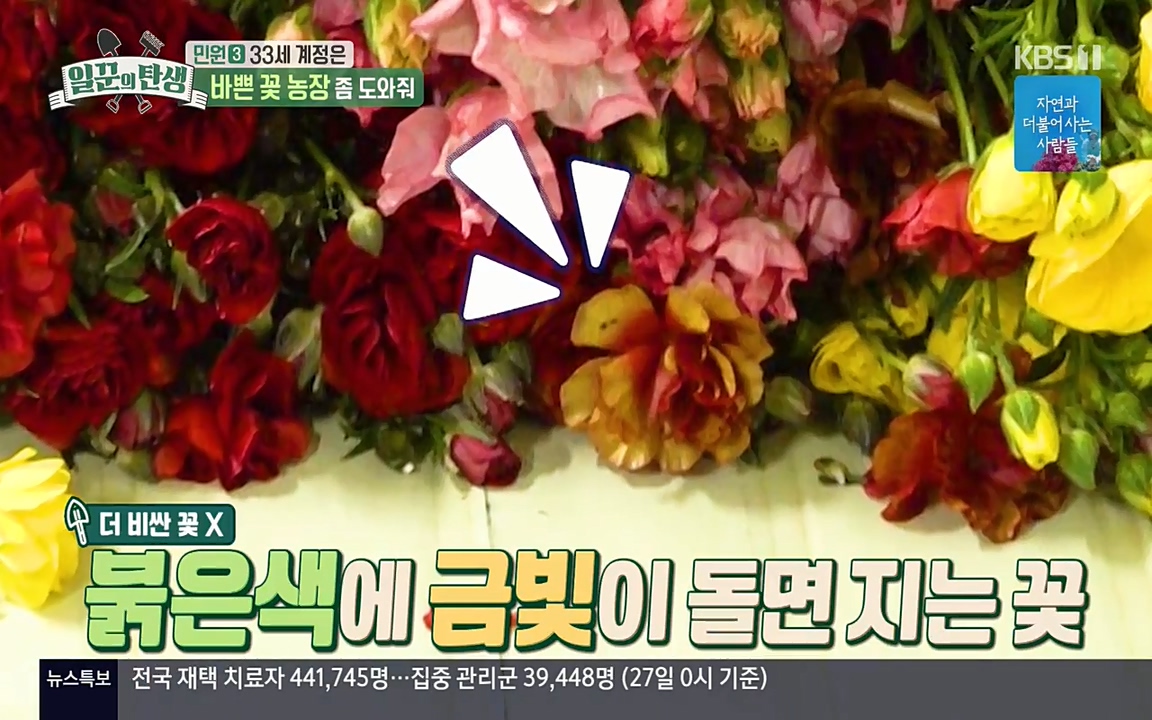 일꾼의 탄생.E21.220428p-NEXT.mp4_20220428_182738.114.jpg