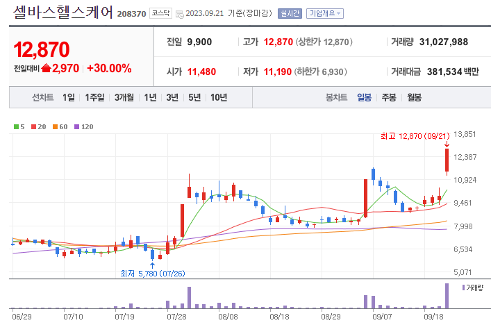 셀바스헬스케어 - 건강 관리 테마주 정보