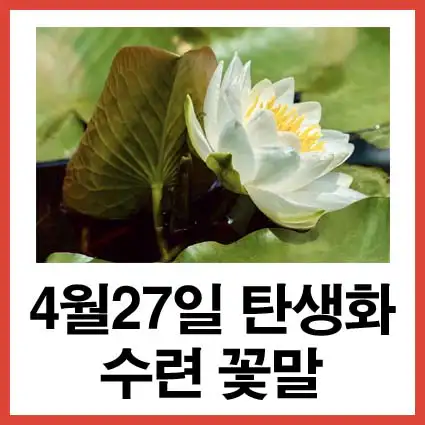 4월-27일-탄생화-수련-꽃말