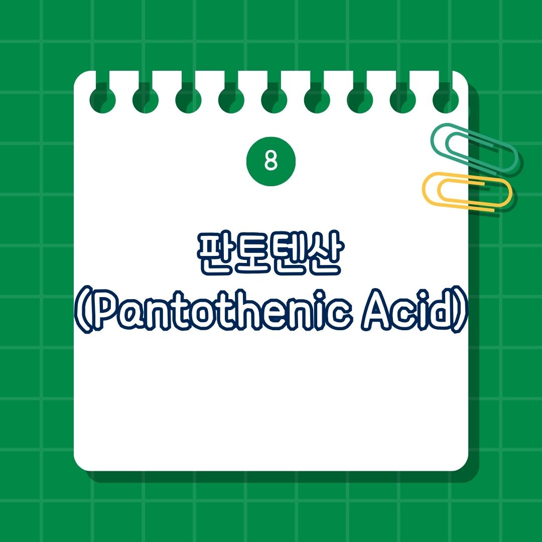 판토텐산 (Pantothenic Acid)