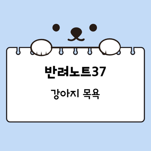 강아지 목욕
