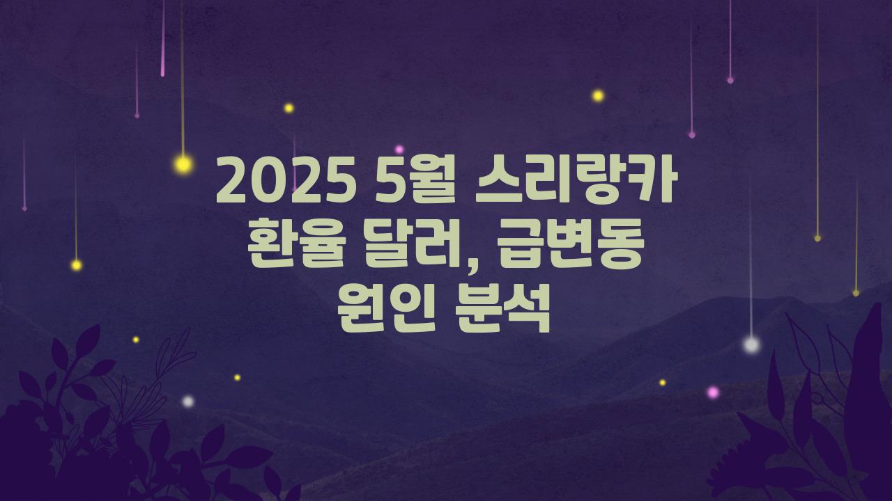 2025 5월 스리랑카 환율 달러