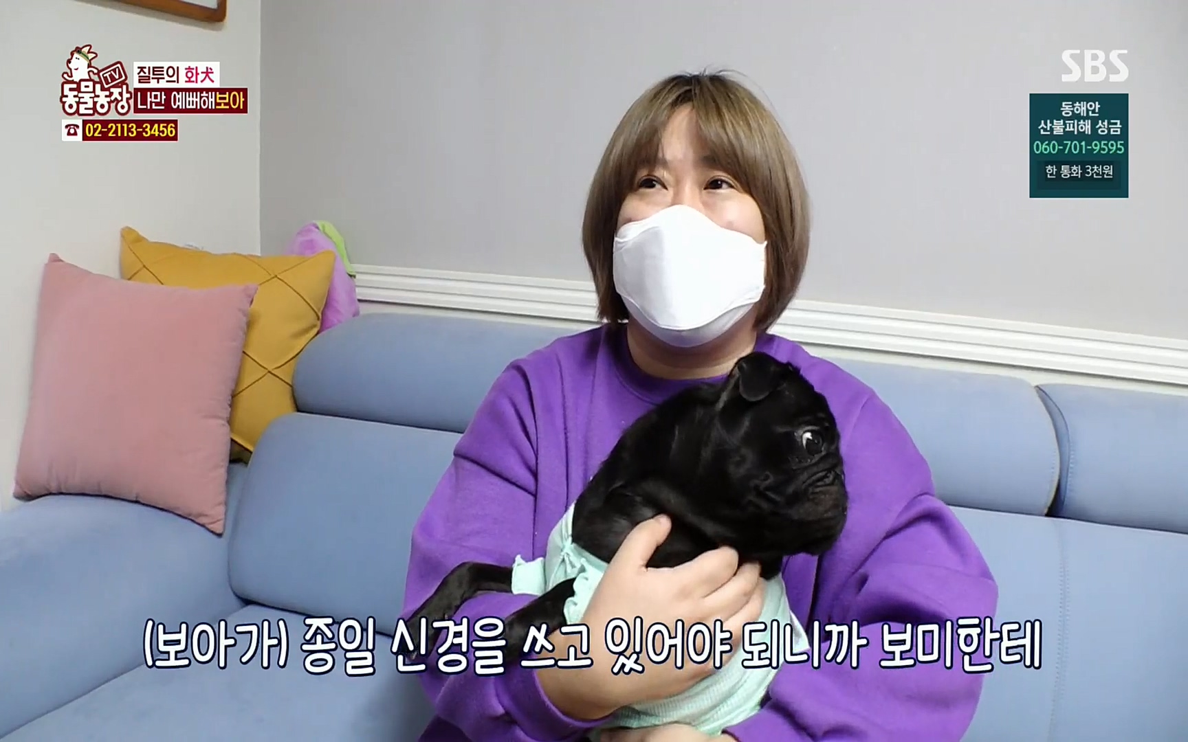 TV 동물농장.E1061.220320p.H264-F1RST.mp4_20220320_183550.618.jpg