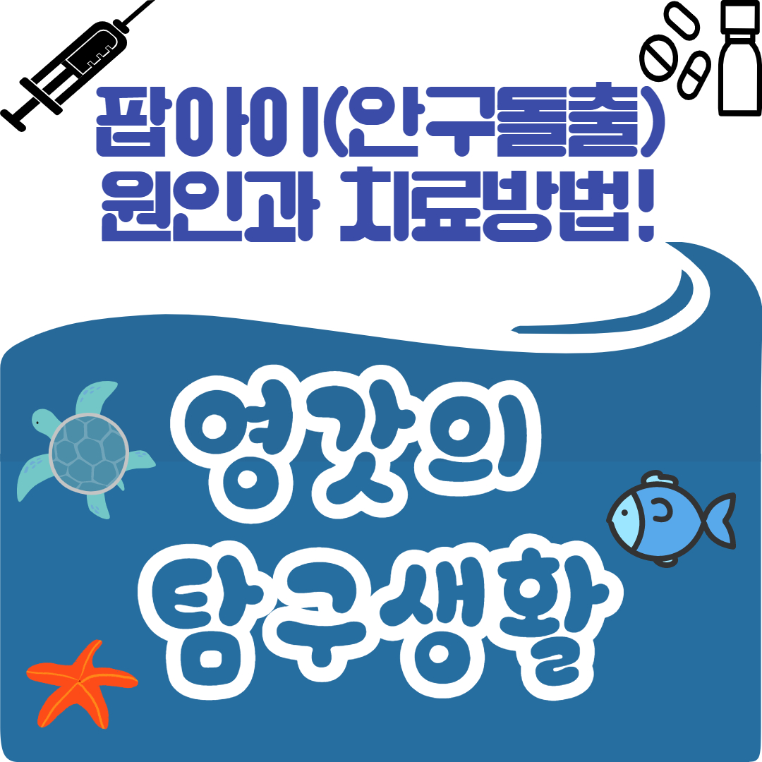열대어의 안구돌출 '팝아이' 원인과 치료방법! 열대어의 안구돌출 '팝아이' 원인과 치료방법!