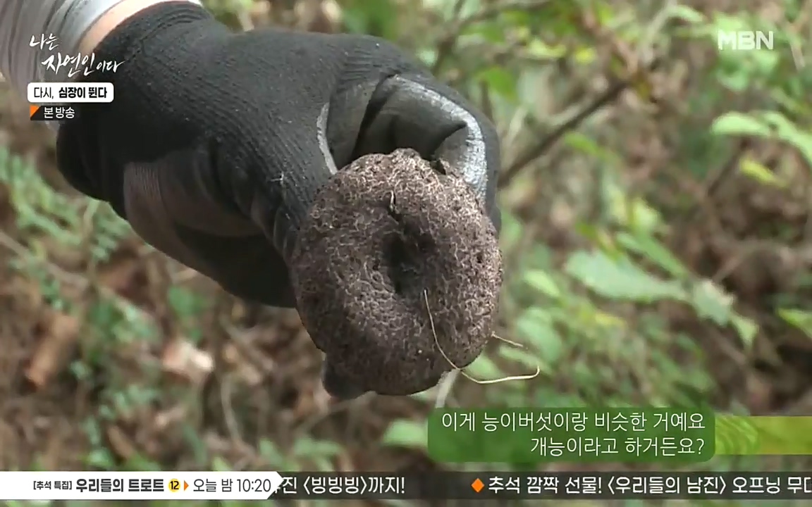 나는 자연인이다.E519.220915p-NEXT.mp4_20220915_194541.136.jpg