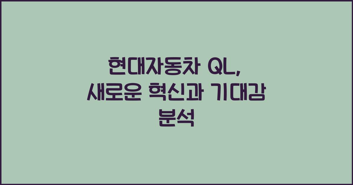 현대자동차 ql