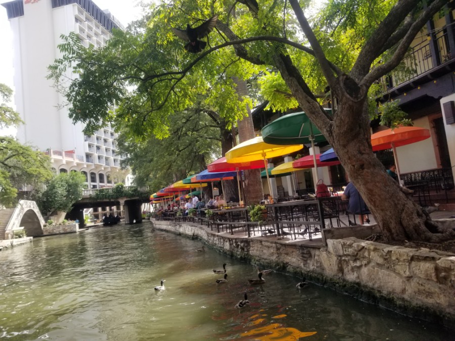  유명한 The Alamo & River Walk in San Antonio, 알라모와 샌안토니오 텍사스 여행이야기