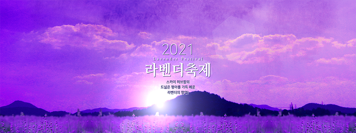 허브아일랜드-2021-라벤더축제