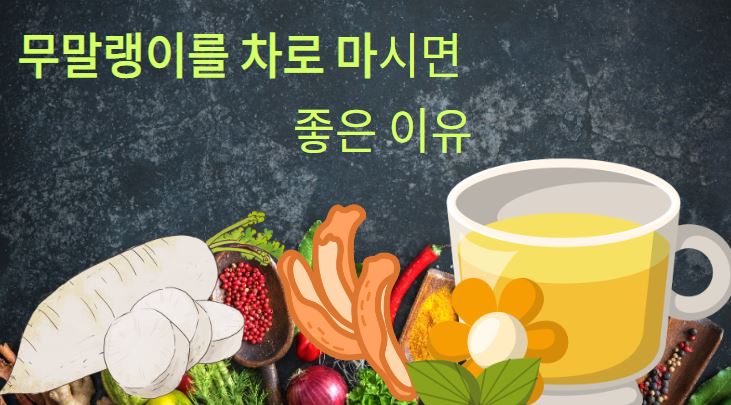 무말랭이 무의효능