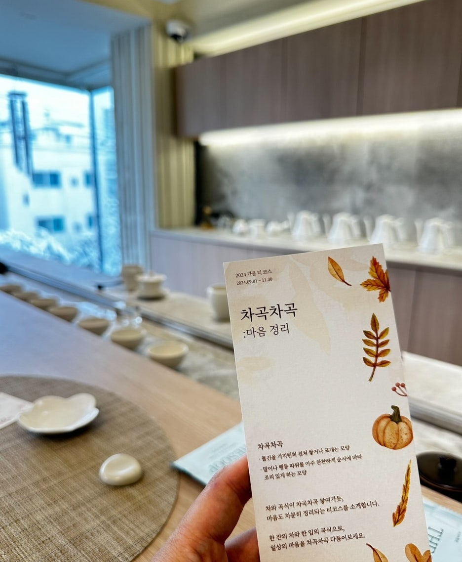 코코시에나 이미지