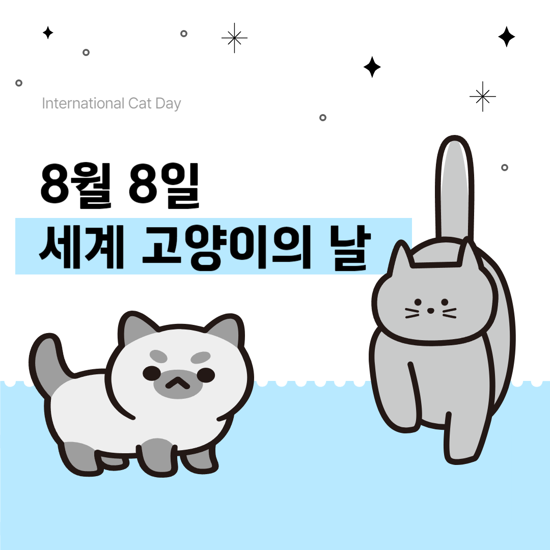 [기념일]세계 고양이의 날 International Cat Day
