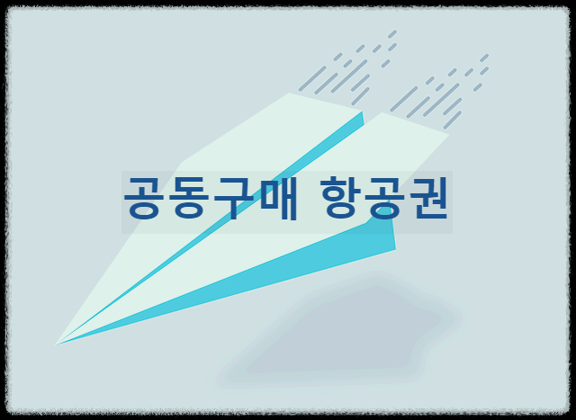 공동구매 항공권