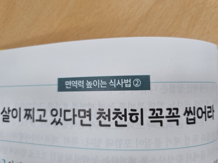 책 자막