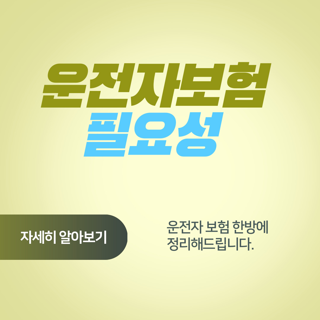  운전자 보험 필요성 2024