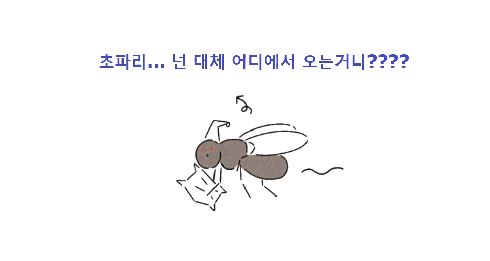  초파리 생기는 이유, 퇴치제 효과