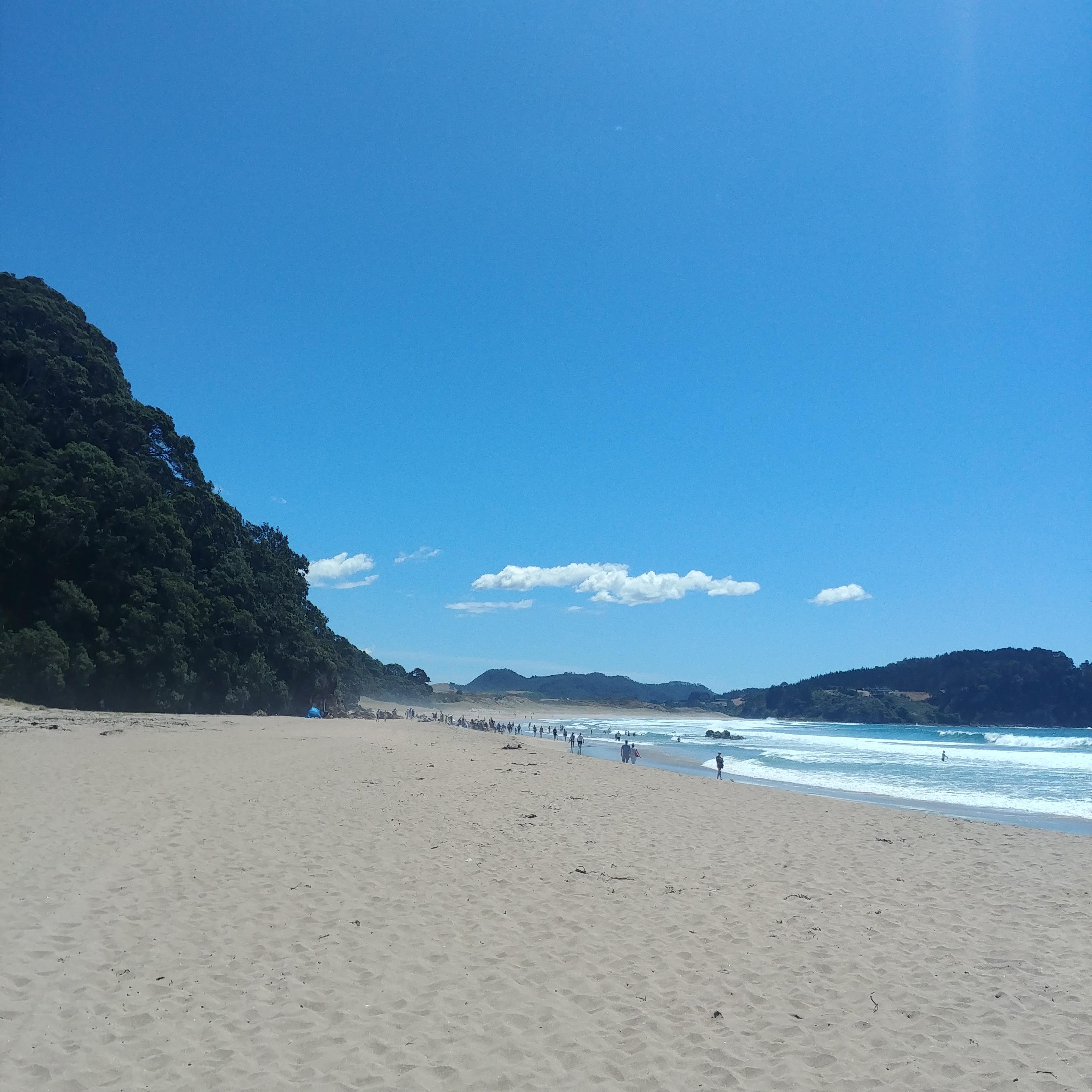 뉴질랜드 여행 핫워터비치 Hot Water Beach