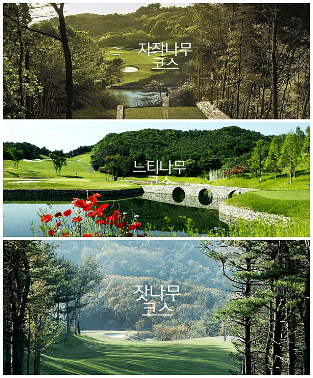  경기도 필수 골프 코스 투어 출발~!