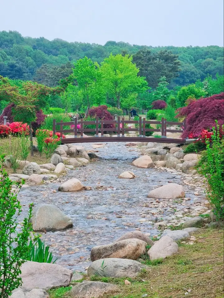 아이와 가기 좋은 곳 - 5월의 장미가 기다려지는 도심 속 김포호수공원