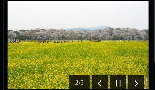 동부사적지구-꽃단지