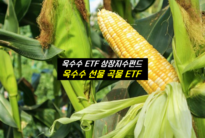 옥수수 ETF 상장지수 펀드 CORN