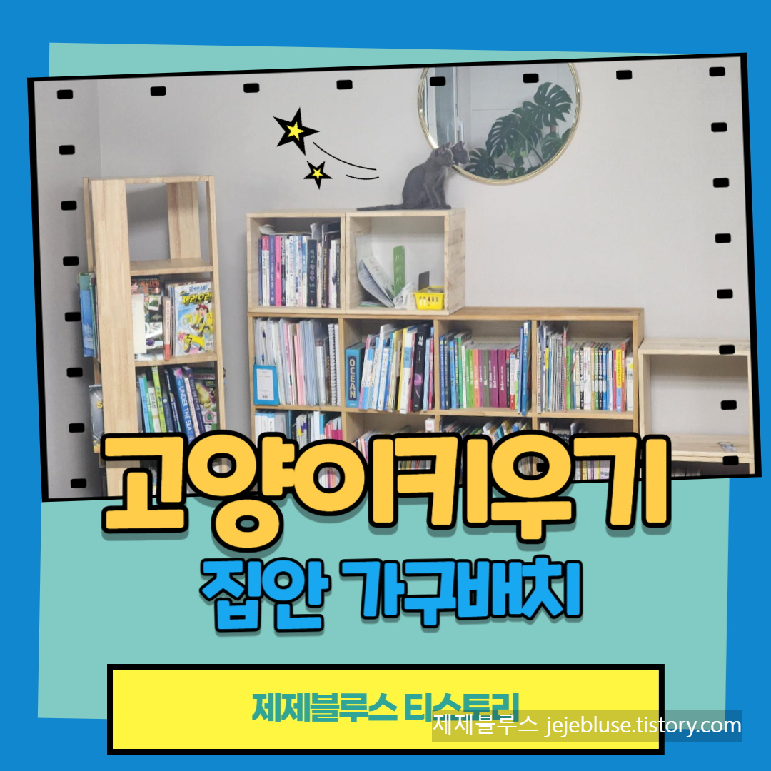 고양이-가구배치-방법