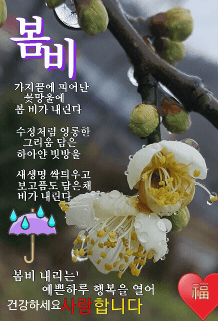스마트플러스 이미지