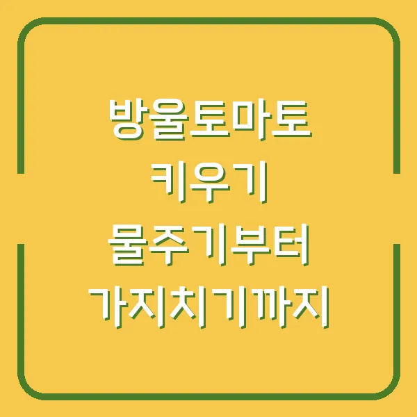방울토마토 키우기 물주기부터 가지치기까지