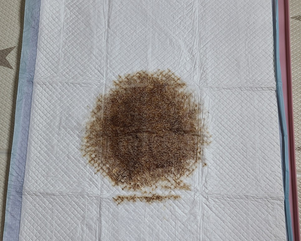 흡수력이 대박이야?이름에 맞는 달라 패드! 개 화장실 패드 20