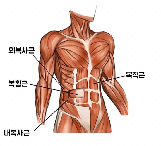  07) 아포지오 호흡 ( 복식호흡, 버팀, 복압 유지, 들숨자세 )