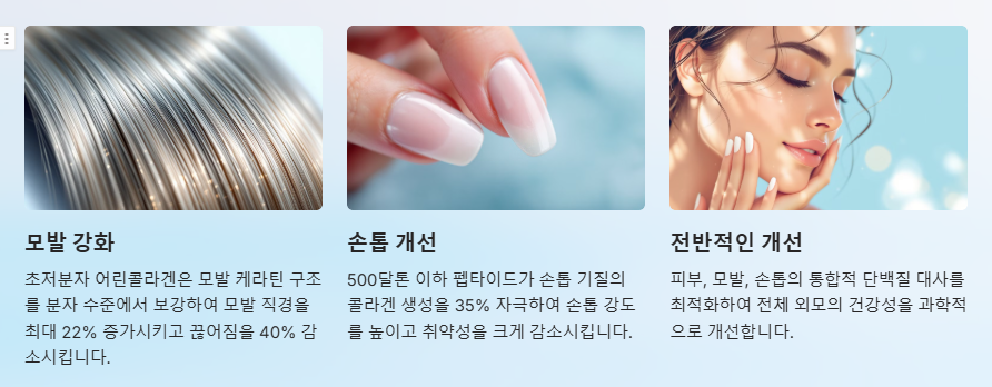 모발과 손톱 강화