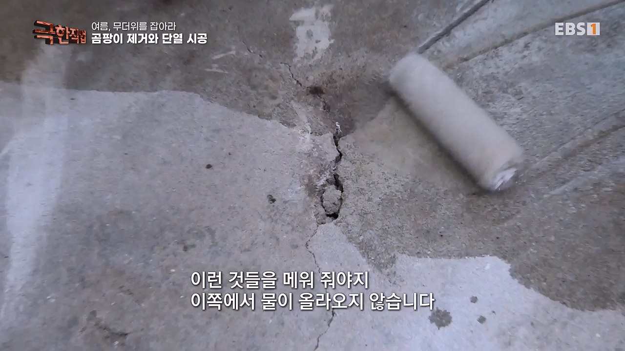 TV - 전 국민의 평생학교 EBS여름, 무더위를 잡아라 단열과 냉방.mp4_20230604_180852.213.jpg