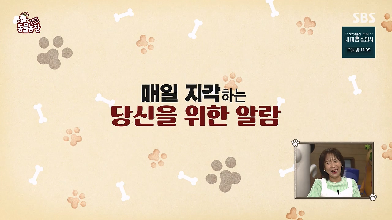 TV 동물농장.E1172.240520p-NEXT.mp4_20240519_162209.994.jpg